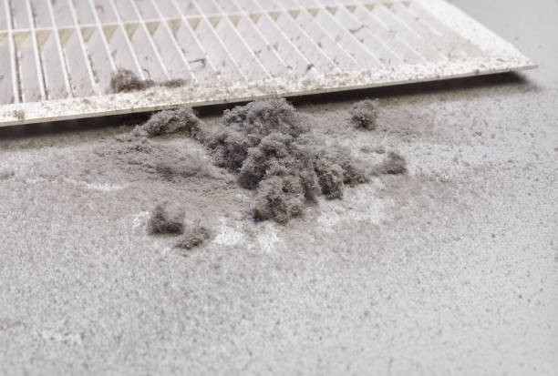 Best HVAC Duct Inspection Services  in Taylor, AL