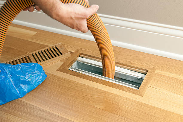 Best Professional Duct Cleaning Services  in Taylor, AL